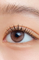 Hapa Kristin Wake Up Kristin Dawn Brown 1 Day (10pcs)