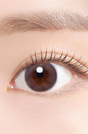 Hapa Kristin Tweed Kristin Mauve Gray 1 Day (10pcs)