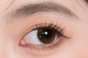 LaPeche【Passcode】 I Daily (10pcs)