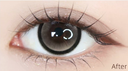 LEMONADE 【Tea Stone】| Daily (10pcs)