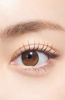 Hapa Kristin Secretive Kristin Creme Brown 1 Day (10pcs)