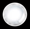 LensMe Pandaya One-Day Water Light （10pcs）
