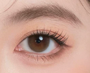 LaPeche【Prelude Brown】| Daily (10pcs)