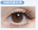 LaPeche【Prelude Brown】| Daily (10pcs)