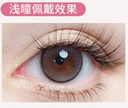 LaPeche【Tomorrow Fantasy】 I Daily (10pcs)