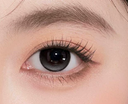 Axis Fixed ! LaPeche【Pearl Grey】| Daily (10pcs)