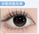 Axis Fixed ! LaPeche【Pearl Grey】| Daily (10pcs)