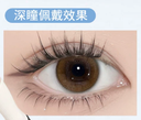 LaPeche【Pay‑Raise Law】 I Daily (10pcs)