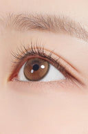 Hapa Kristin First Love Kristin Brown 1 Day (10pcs)
