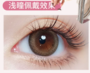 Lapeche【Forest‑Deer Mystic Brown】| Daily (10pcs)