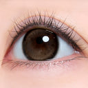 I-SHA LN25 Deep Choco 1Day（10pcs）
