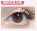 LaPeche【Inspiration Loop】 I Daily (10pcs)