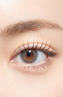 Hapa Kristin OMG Kristin Gray 1 Day (10pcs)
