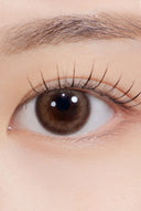 Hapa Kristin Adorable Kristin Brown 1 Day (10pcs)