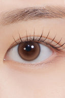 Hapa Kristin Dewy Kristin Brown 1 Day (10pcs)