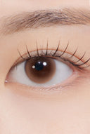 Hapa Kristin Dewy Kristin Basic Brown 1 Month (2pcs)