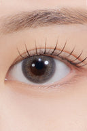 Hapa Kristin OMG Kristin Gray 1 Day (10pcs)