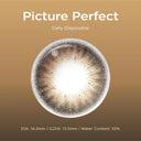 Moody Picture Perfect | Daily 10pcs