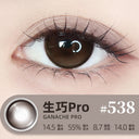 LEMONADE  【Ganache Pro】 | Daily (10pcs)