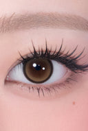 Hapa Kristin Cat-titude Kristin Tabby Brown 1 Day (10pcs)