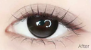 LEMONADE  【Choco Pro】 | Daily (10pcs)