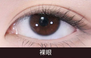 Moody  NICE DAY BROWN & FRIENDS  I   Daily (10pcs)
