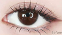 LEMONADE  【Ganache Pro】 | Daily (10pcs)