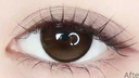 LEMONADE  【Ganache Pro】 | Daily (10pcs)