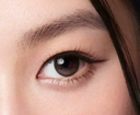 Moody  Gris Meyer   I  Daily    (10pcs)